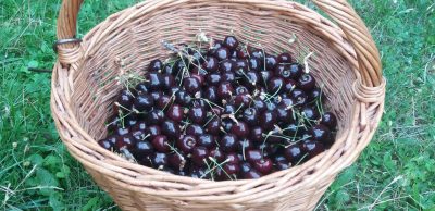 Vitamíny a jejich důležitost pro zdraví. Užívat je v doplňcích stravy nebo ne?