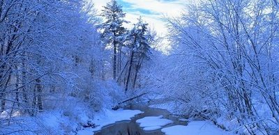 Divná zima v roce 2008