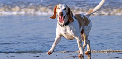 Zlepšení tréninku pomocí stupňovaného běhu – pořádně zaberte v posledních kilometrech