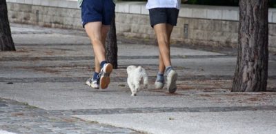 Jak spalovat tuky běháním?