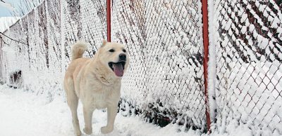 Není minimalismus jako minimalismus a v běhání dvojnásob