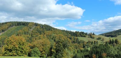 Podzimní příprava aneb jak na běhání na podzim