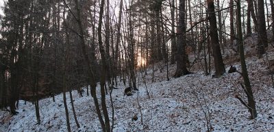 Cestování s běháním – jak ušetřit s nízkorozpočtovými výlety