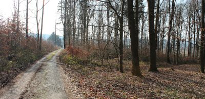 Běh do kopce: cíle a varianty