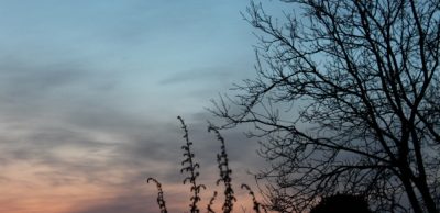 Bezpečnost a běhání?