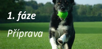 Běžecký plán pro pokročilé: 1. fáze – Příprava