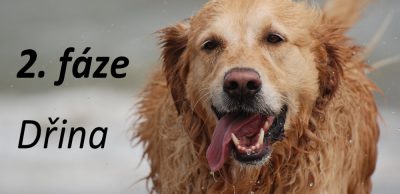 Běžecký plán pro pokročilé: 2. fáze – Dřina