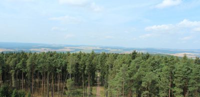 Proč začít běhat právě dnes ještě před koncem léta