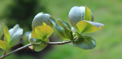 Aktivní pohyb jako (jediné) rozumné využití volného času – 1. část