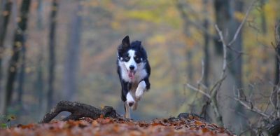 Podzim – prožitky – běhání