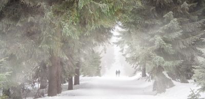Hlavně buďte vidět! Jak běhat v zimě + další tipy