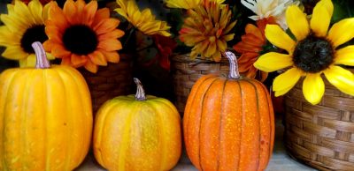 Výživa běžce (kalorie, makroživiny), 1. díl + tipy na podzimní jídelníček