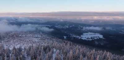Dali jste si běžecké předsevzetí? Tipy k běhání v zimě, které oceníte.