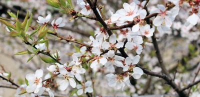 Jarní únava? Zapomeňte!