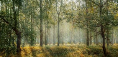 Pobyt v přírodě ničím nenahradíš, motivuj ostatní