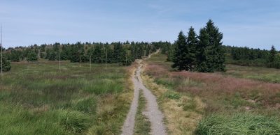 Co dělat, aby se běžec nemusel do běhání nutit