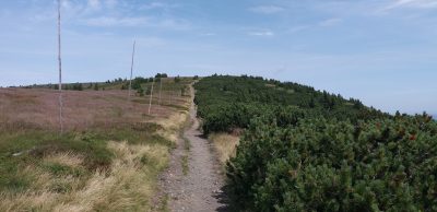 Skřítek – Praděd a zpět